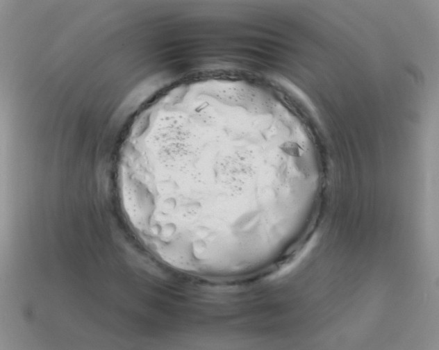 X0000113620921200910161949