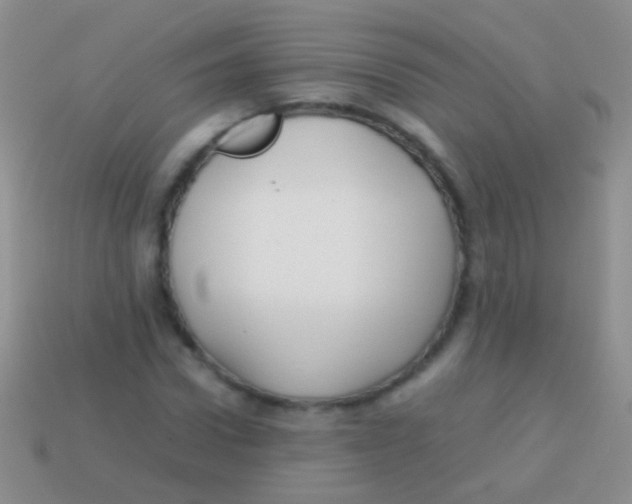 X0000113620922200910161949