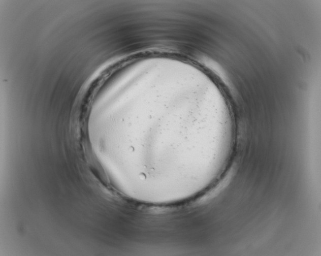 X0000113620923200910161949