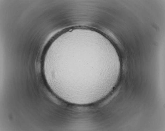 X0000113620924200910161949