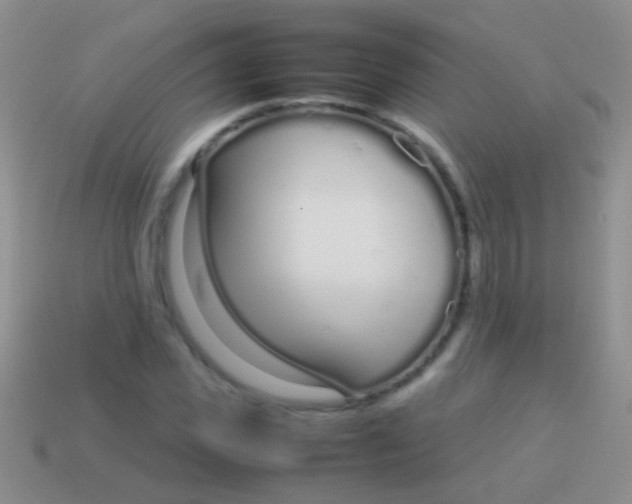 X0000113620925200910161949