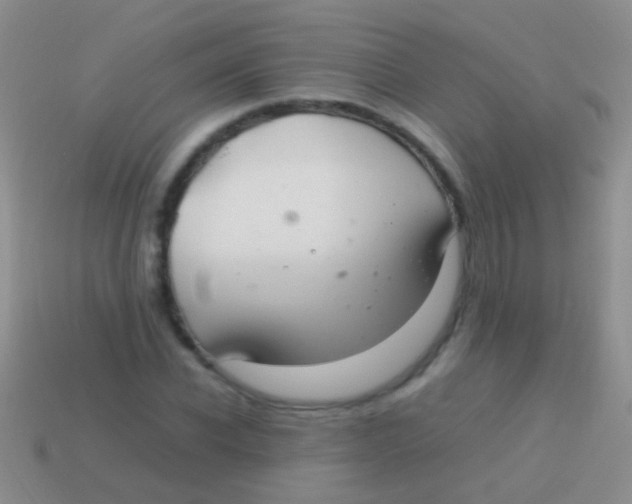 X0000113620926200910161949