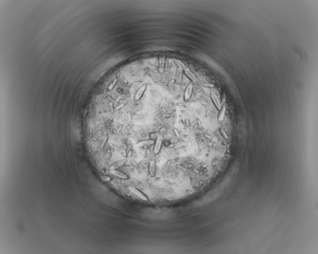 X0000113620929200910161949