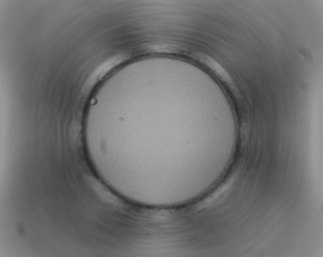 X0000113620930200910161949