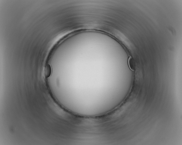 X0000113620932200910161949