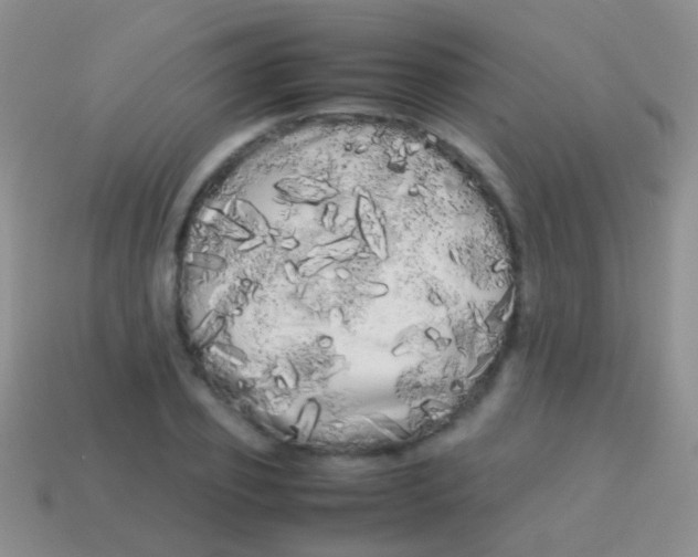 X0000113620933200910161949