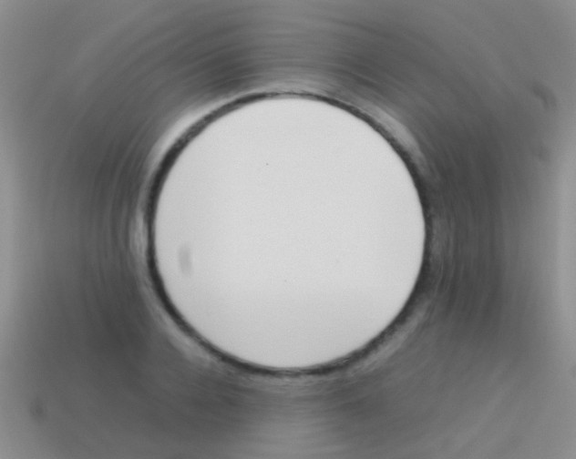 X0000113620936200910161949