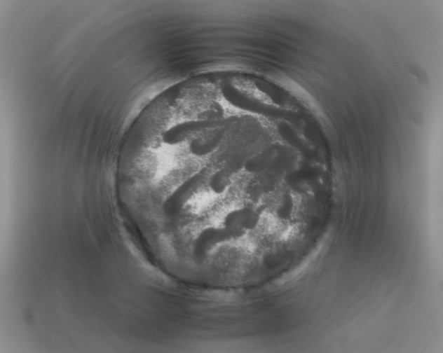 X0000113620937200910161949