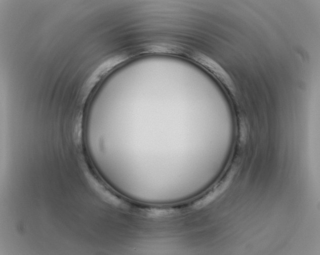 X0000113620938200910161949