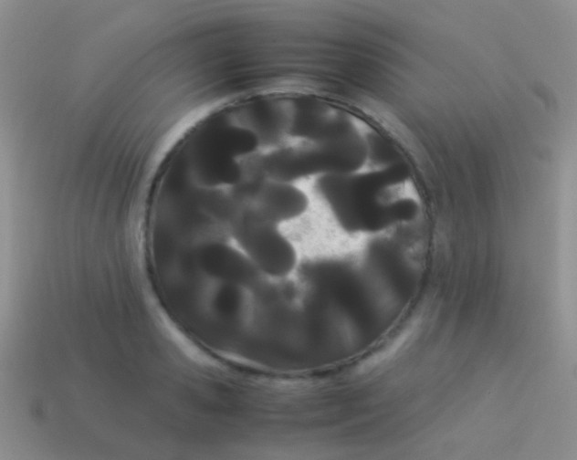 X0000113620941200910161949