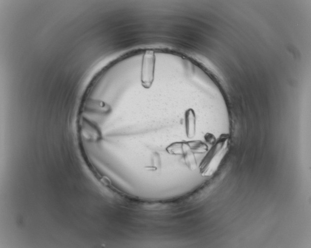 X0000113620943200910161949