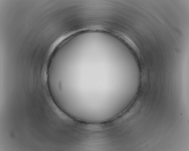 X0000113620944200910161949