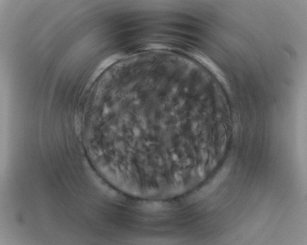 X0000113620945200910161949