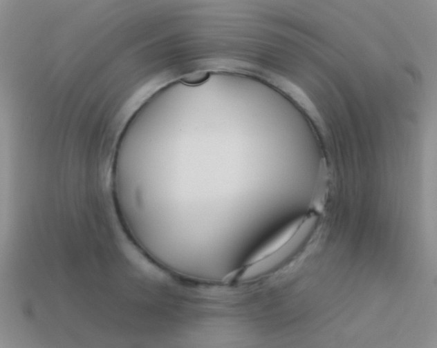 X0000113620946200910161949