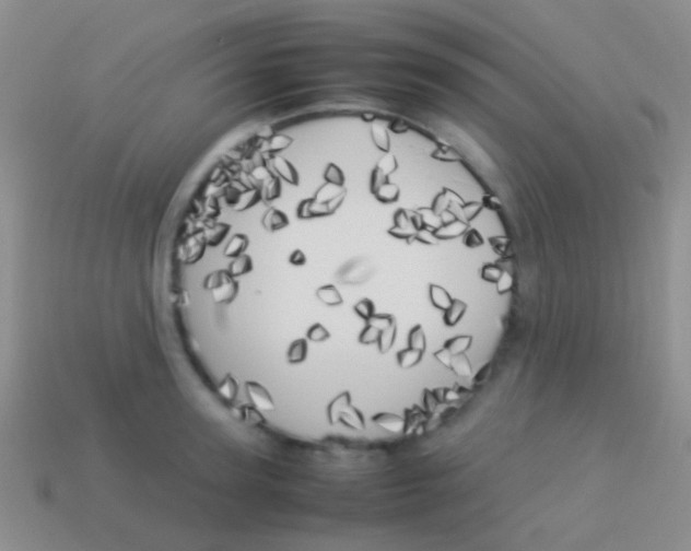 X0000113620947200910161949