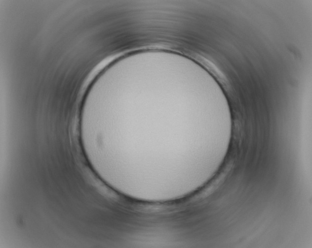 X0000113620948200910161949
