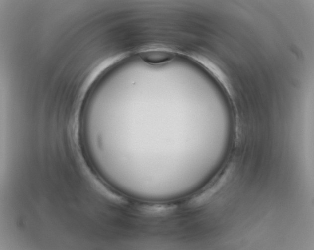 X0000113620949200910161949