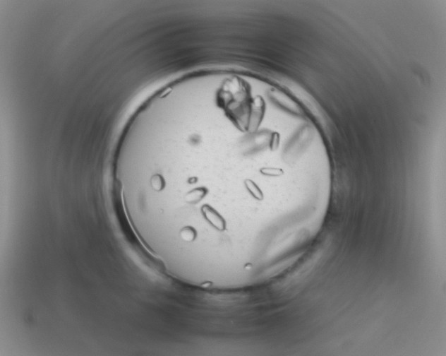 X0000113620951200910161950