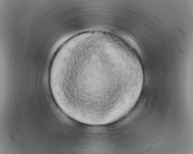 X0000113620952200910161950