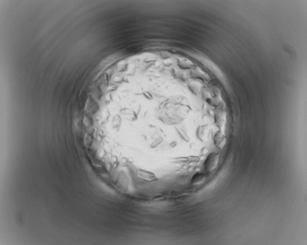 X0000113620953200910161950