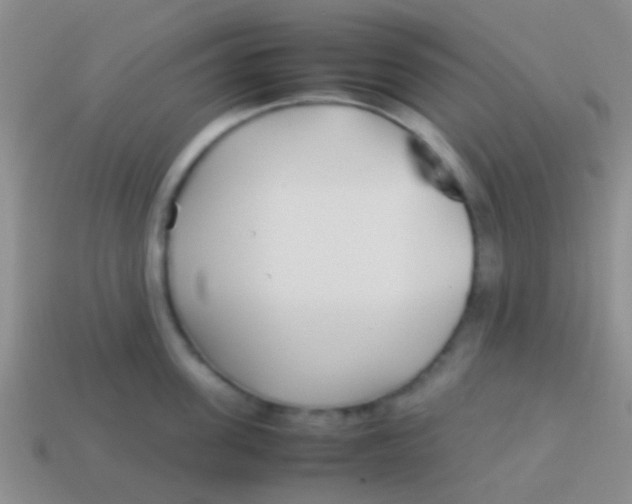 X0000113620955200910161950