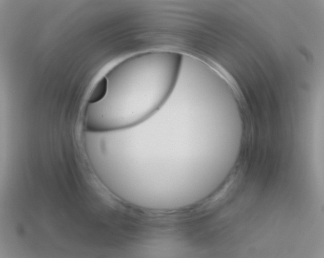 X0000113620956200910161950