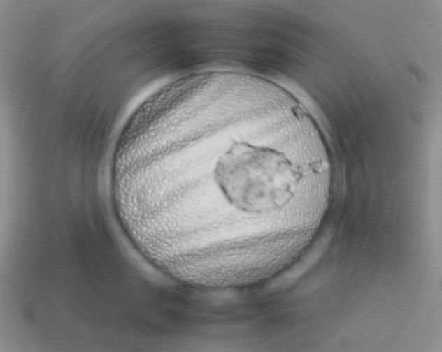 X0000113620957200910161950