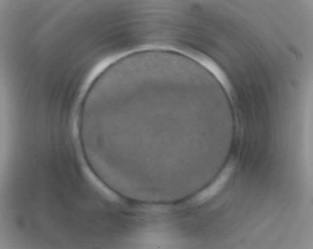 X0000113620958200910161950
