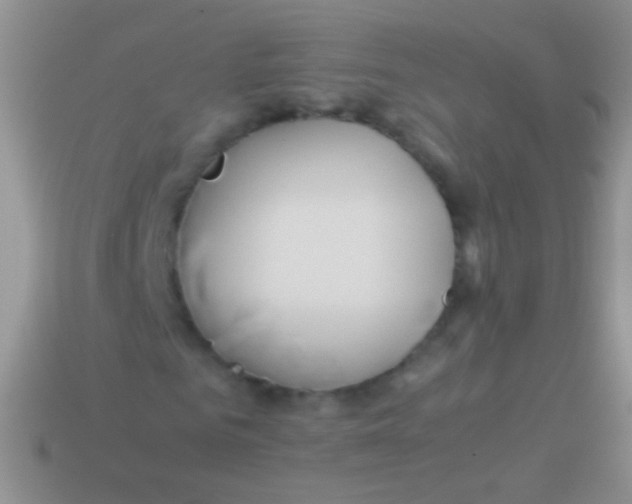X0000113620961200910161949