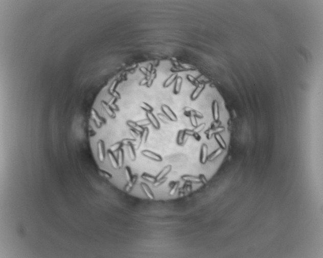 X0000113620962200910161949