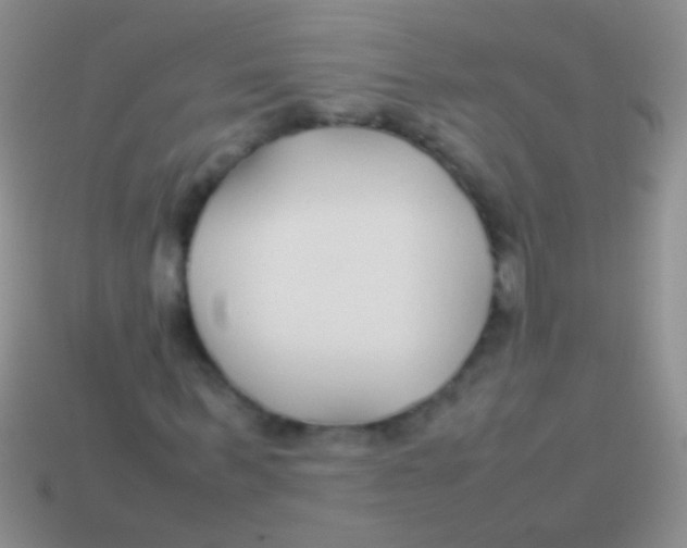 X0000113620963200910161949