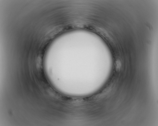 X0000113620964200910161949