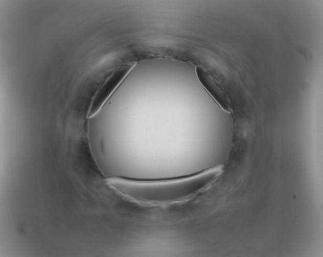 X0000113620965200910161949