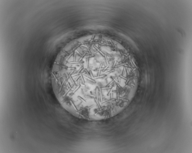 X0000113620966200910161949