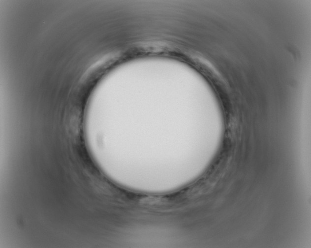 X0000113620967200910161949