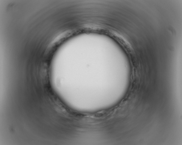 X0000113620968200910161949