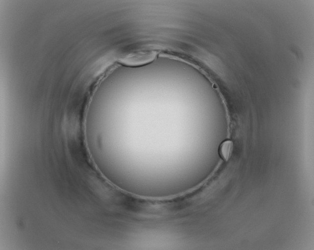 X0000113620969200910161949