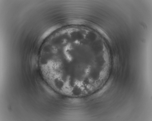 X0000113620970200910161949