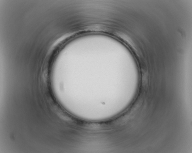 X0000113620971200910161949