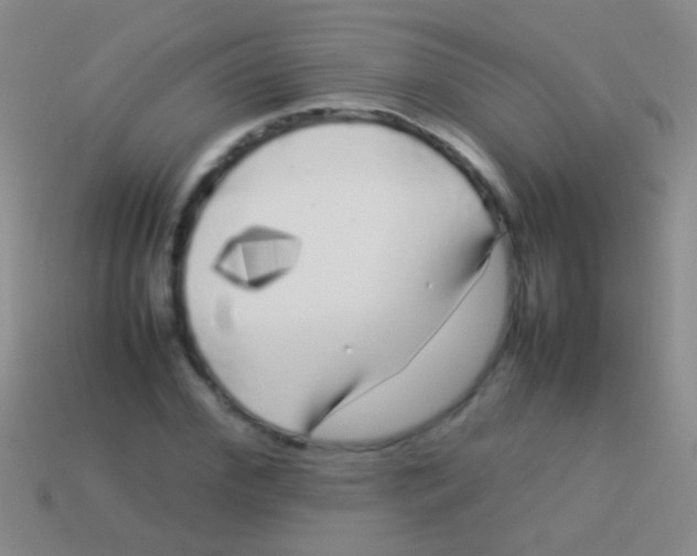 X0000113620972200910161949