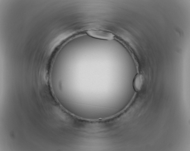 X0000113620973200910161949