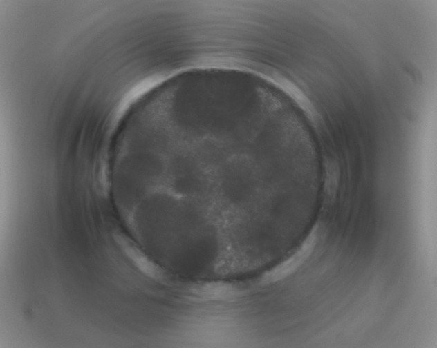 X0000113620974200910161949