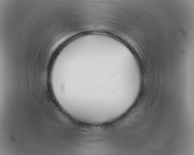 X0000113620975200910161949