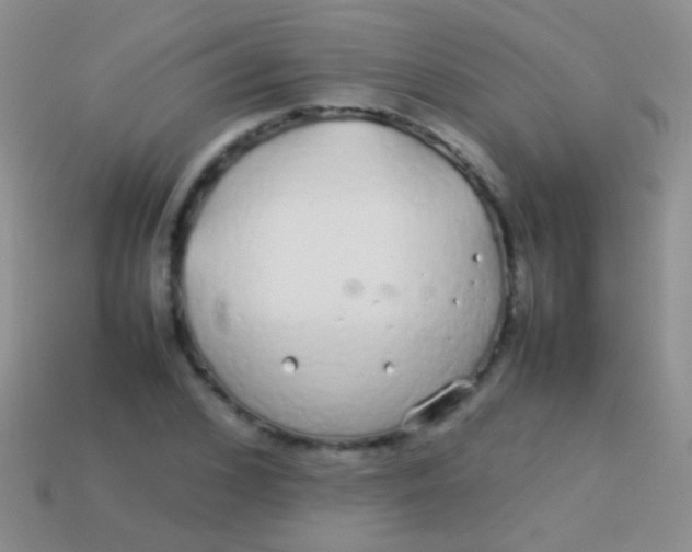 X0000113620976200910161949