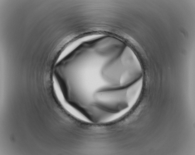 X0000113620977200910161949