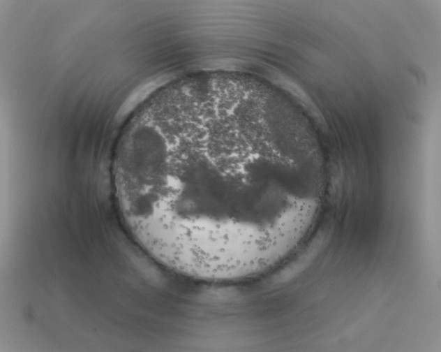 X0000113620978200910161949