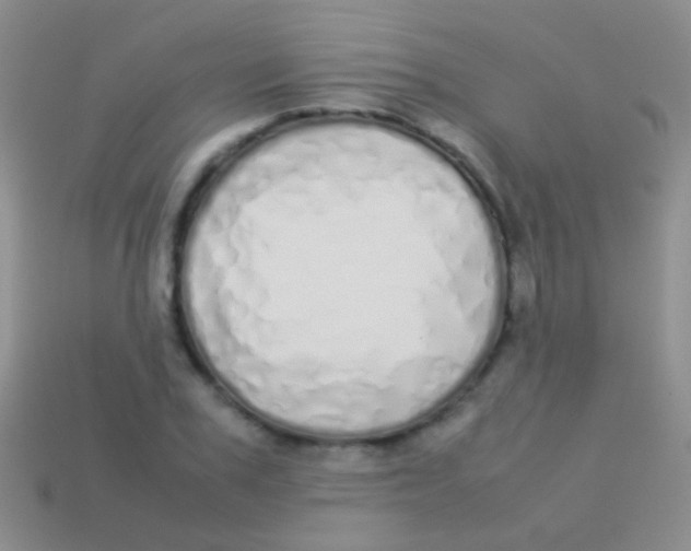 X0000113620979200910161949