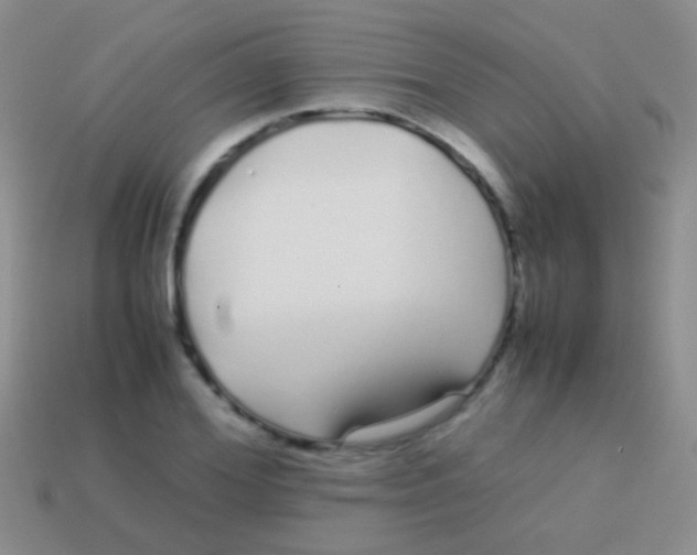 X0000113620980200910161949