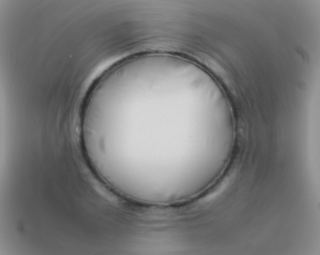 X0000113620981200910161949