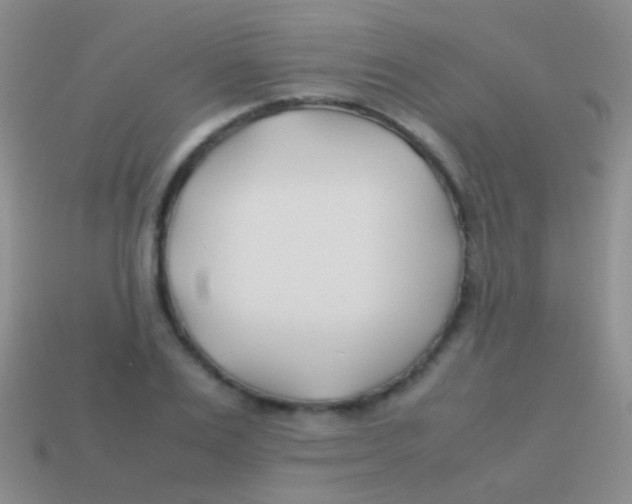 X0000113620983200910161949